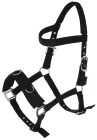 Lunging Halter