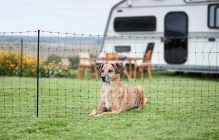 Boundary fence Camping Net