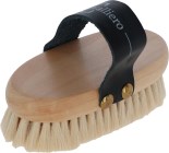 Horse brush