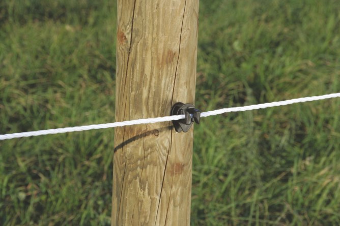 Rope,Rutland Fencing,Conductors ... - Kerbl UK Ltd